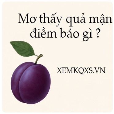 Mơ Thấy Quả Mận Là Điềm Gì? Giải Mã Ý Nghĩa Và Số May Mắn